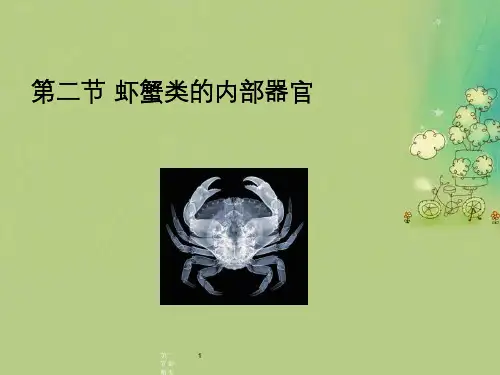 第二节虾蟹类的内部构造