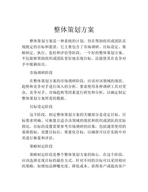 整体策划方案