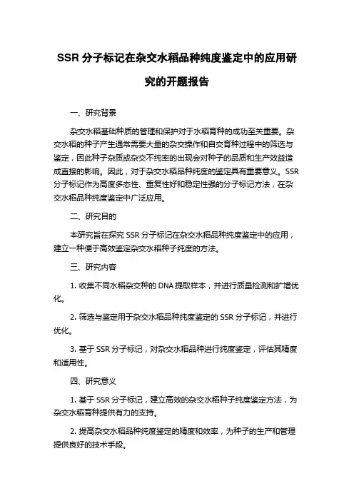 SSR分子标记在杂交水稻品种纯度鉴定中的应用研究的开题报告