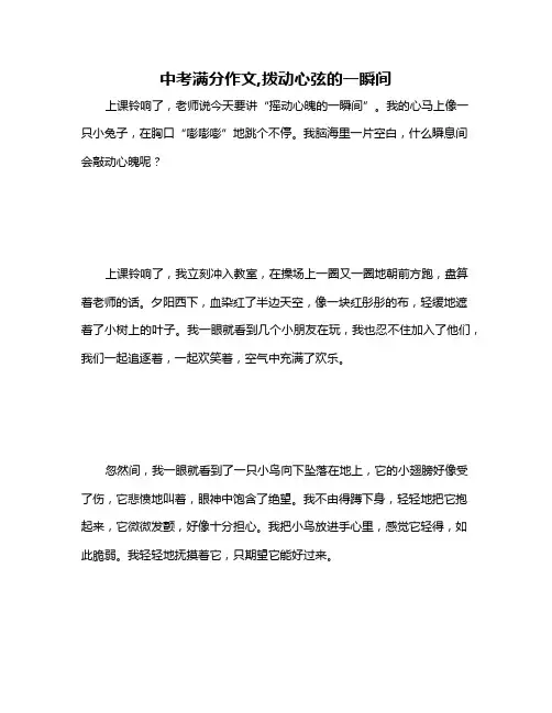 中考满分作文,拨动心弦的一瞬间