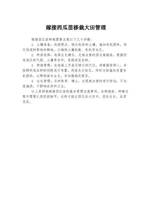 嫁接西瓜苗移栽大田管理