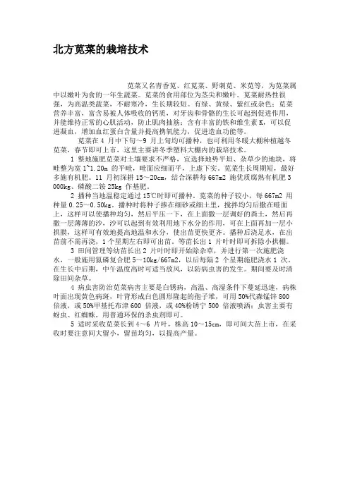 北方苋菜的栽培技术.