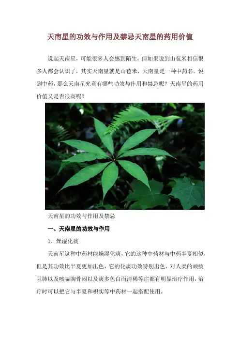 天南星的功效与作用及禁忌 天南星的药用价值