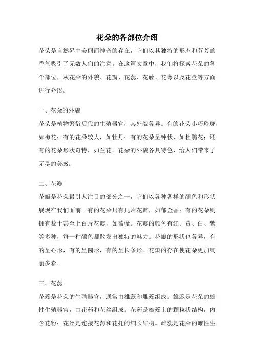 花朵的各部位介绍