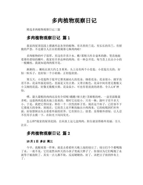 多肉植物观察日记