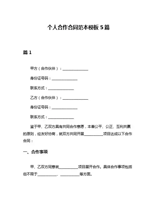 个人合作合同范本模板5篇