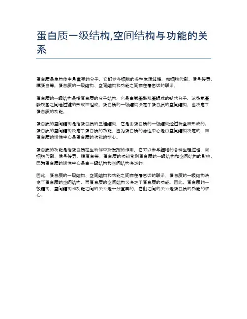 蛋白质一级结构,空间结构与功能的关系