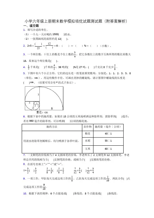 小学六年级上册期末数学模拟培优试题测试题(附答案解析)