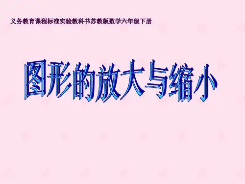 1新苏教版六年级数学下册图形的放大和缩小ppt课件
