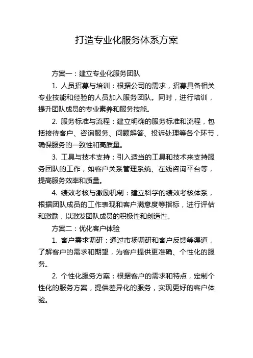 打造专业化服务体系方案