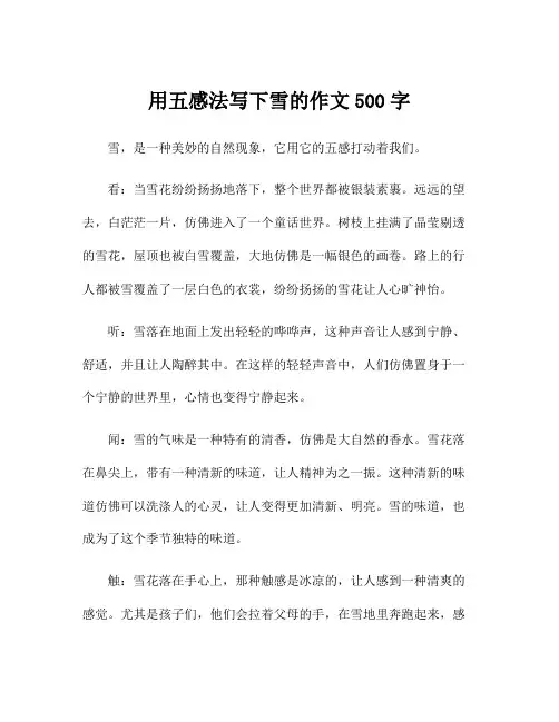 用五感法写下雪的作文500字