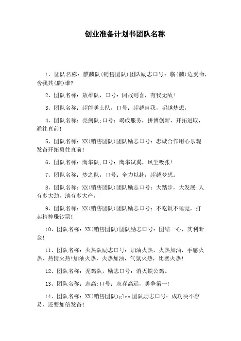 创业准备计划书团队名称