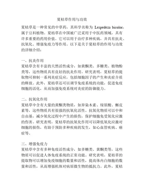夏枯草作用与功效
