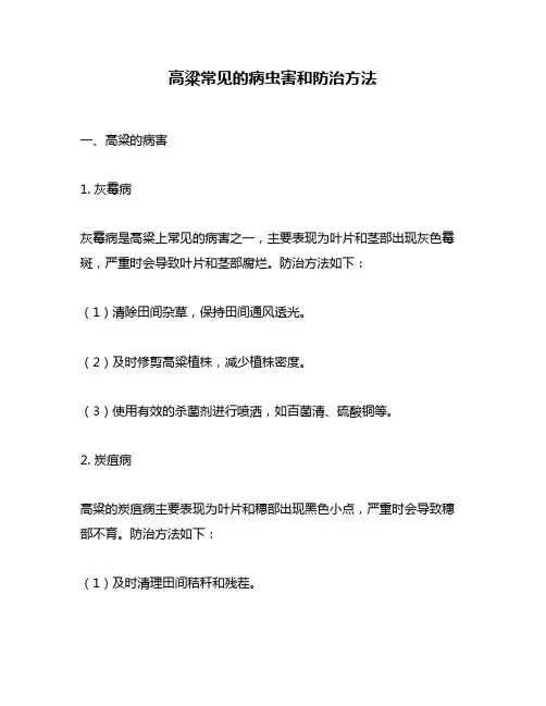 高粱常见的病虫害和防治方法