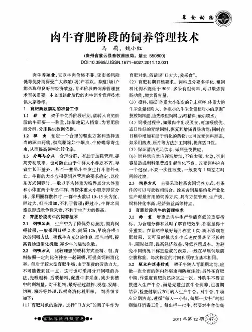 肉牛育肥阶段的饲养管理技术