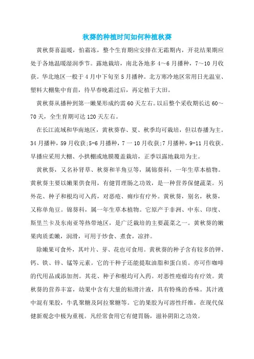 秋葵的种植时间如何种植秋葵