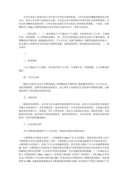 2020小额贷款创业计划书范文【精选】