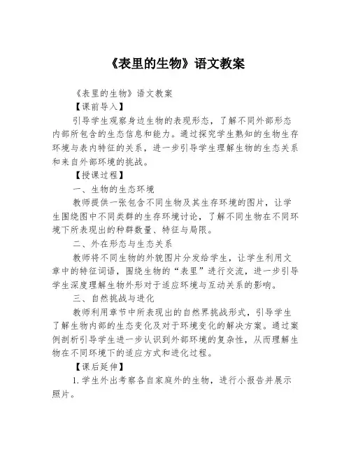 《表里的生物》语文教案3篇