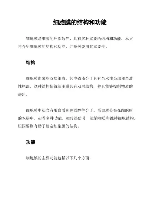 细胞膜的结构和功能