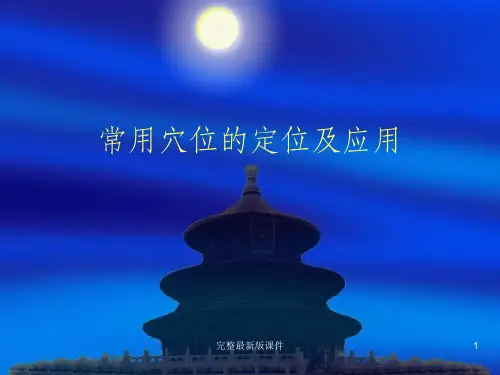 常用穴位的定位及应用ppt课件