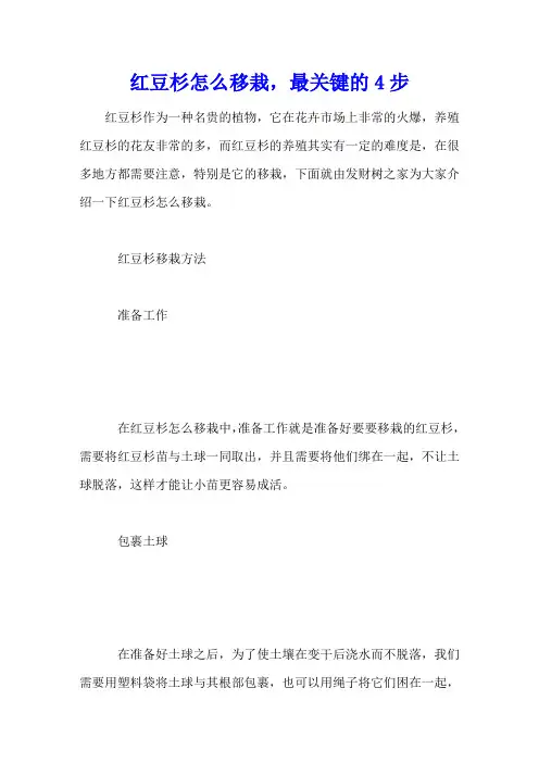 红豆杉怎么移栽,最关键的4步