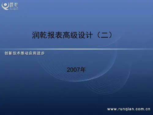 润乾报表高级设计(二)