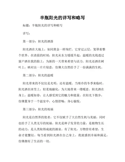 半瓶阳光的详写和略写