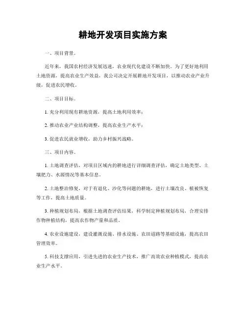 耕地开发项目实施方案