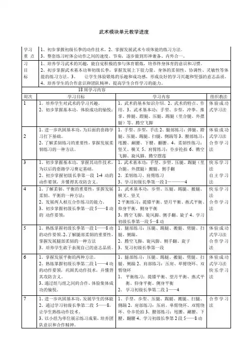 武术模块单元教学计划