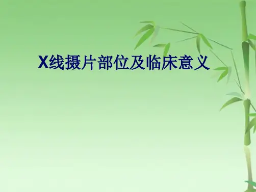 X线摄片部位及临床意义(共49张PPT)