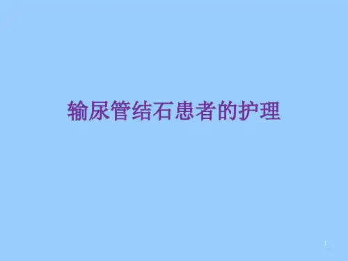 输尿管结石患者护理ppt课件