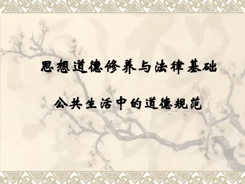 公共生活中的道德规范