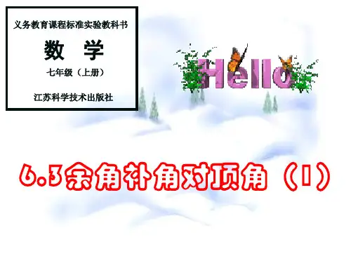 6.3余角补角对顶角(1)