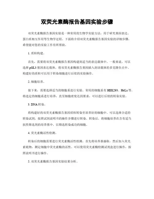 双荧光素酶报告基因实验步骤