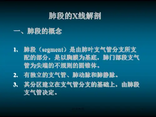 肺的X线解剖[内容充实]