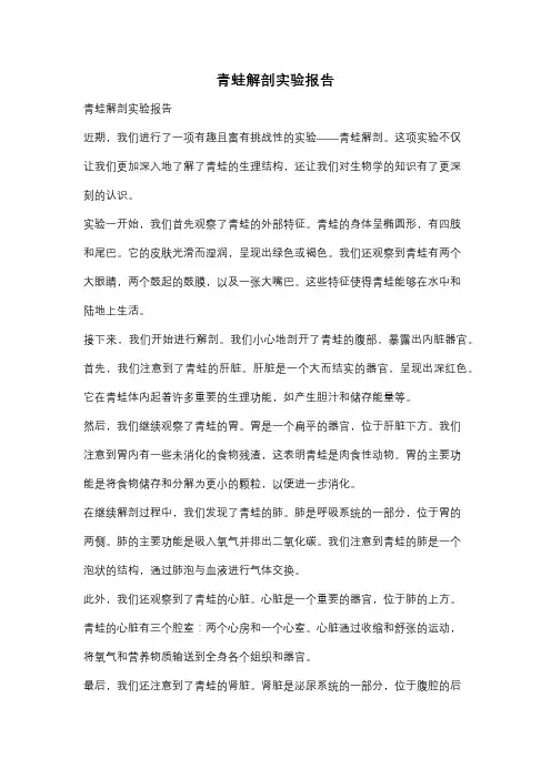 青蛙解剖实验报告