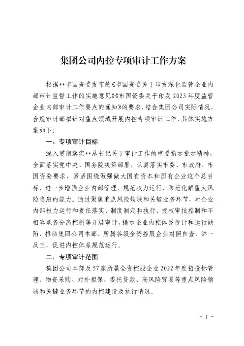 集团公司内控专项审计工作方案