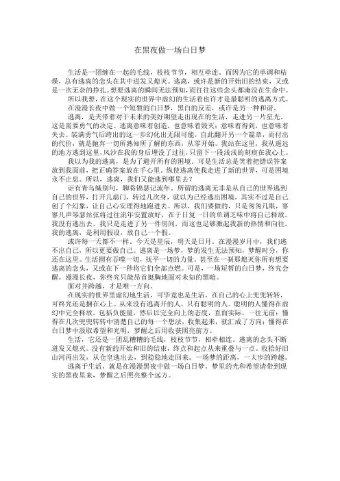 在黑夜做一场白日梦
