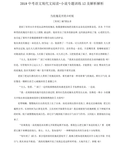 2019中考语文现代文阅读-小说专题训练12及解析解析.doc