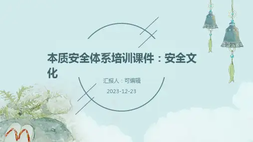 本质安全体系培训课件安全文化)ppt