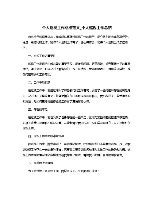 个人巡视工作总结范文_个人巡视工作总结