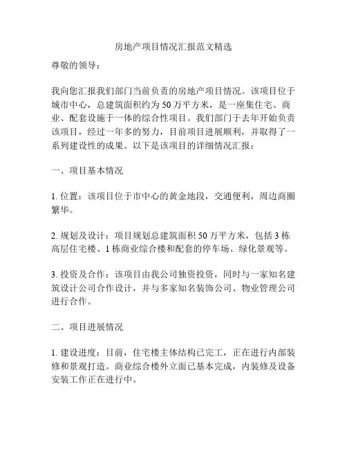 房地产项目情况汇报范文精选