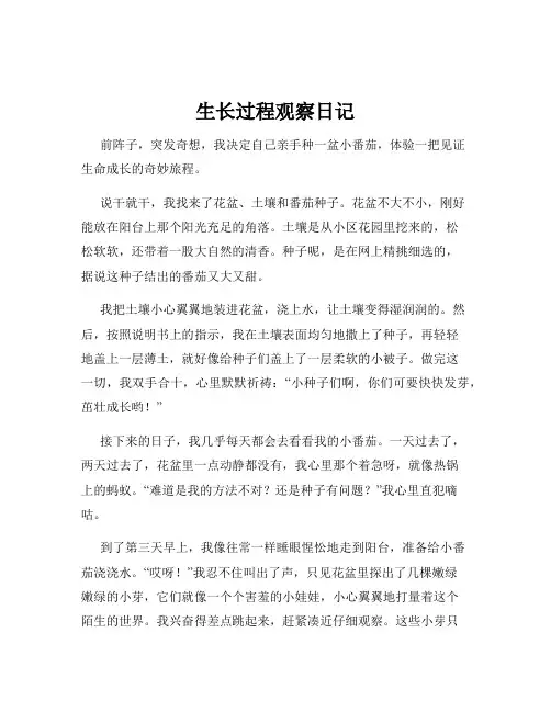 生长过程观察日记