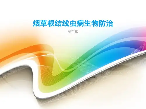 烟草根结线虫病