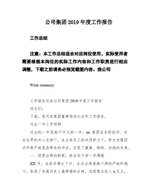 公司集团2019年度工作报告