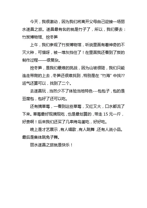 丽水遂昌一日游作文