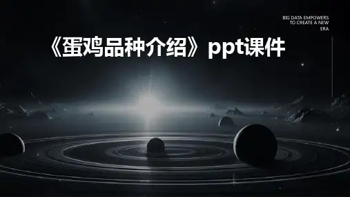 《蛋鸡品种介绍》课件