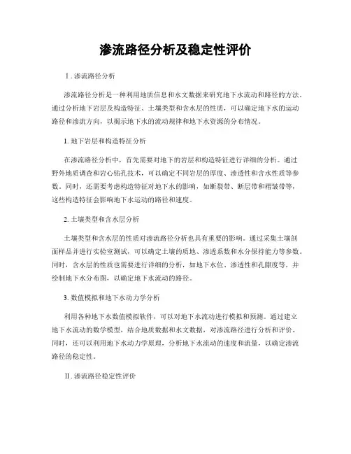 渗流路径分析及稳定性评价