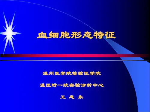 血细胞形态特征