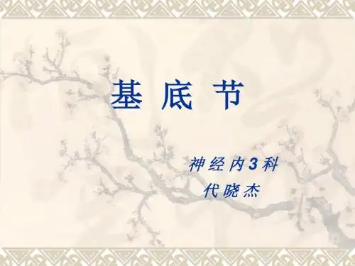基底节